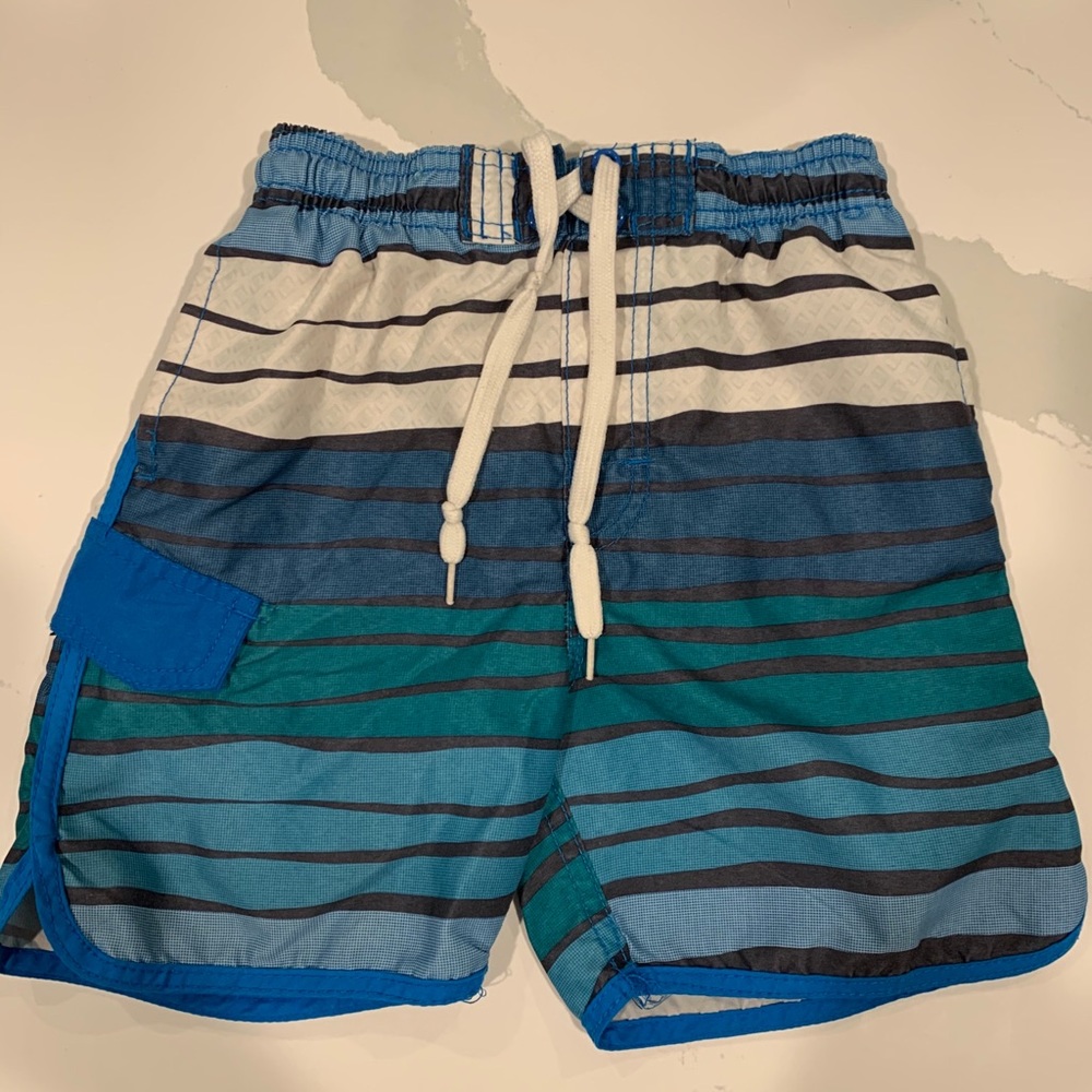 Boys 4T Striped Swim Trunks